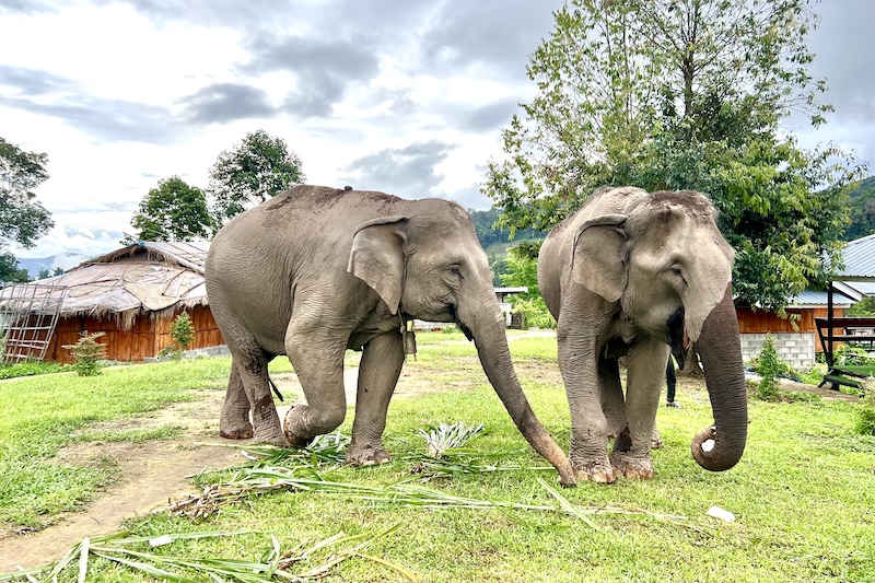 Hill Tribes Ecolodges Home Stay